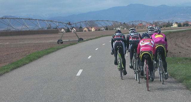 leiselheim20102