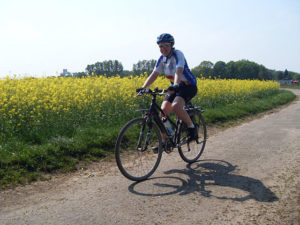 werne2011
